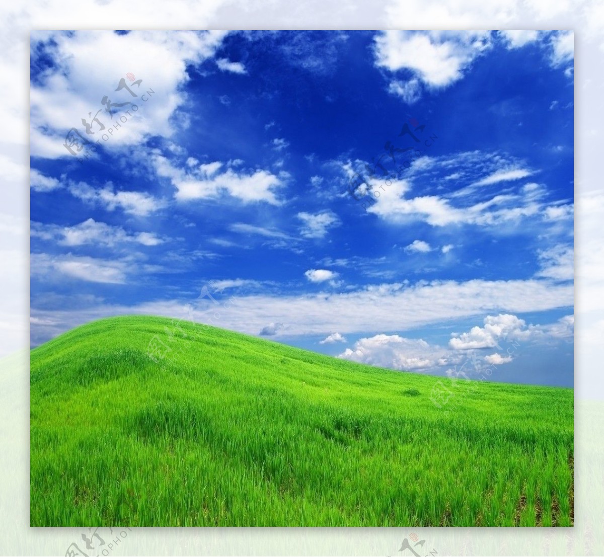 蓝天白云草从草地高清