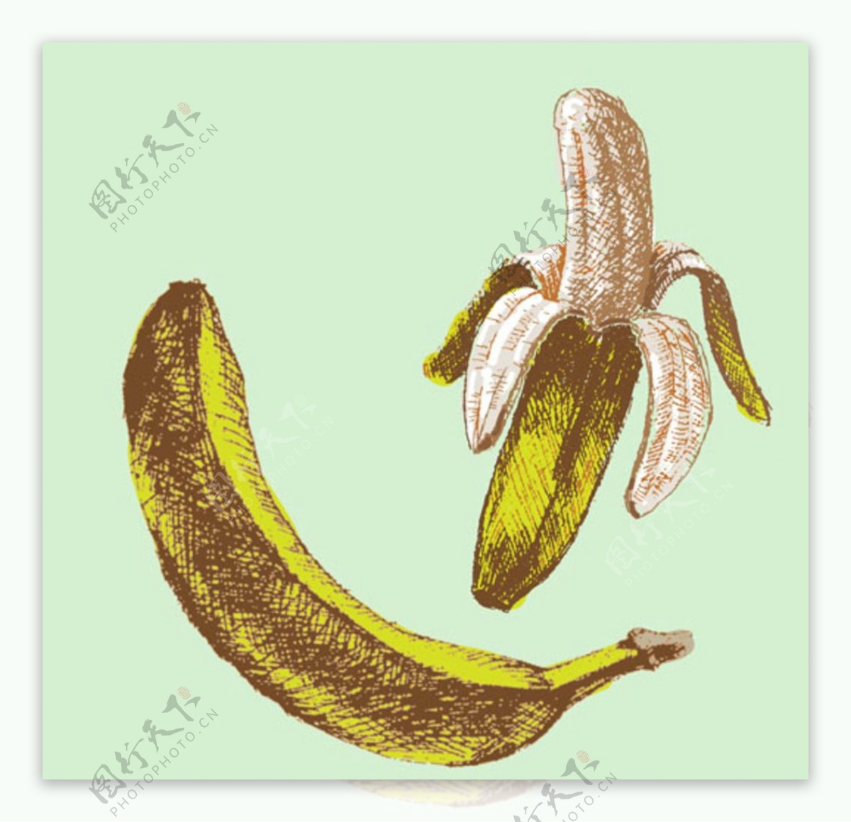 香蕉|插画|儿童插画|Z05021959 - 原创作品 - 站酷 (ZCOOL)