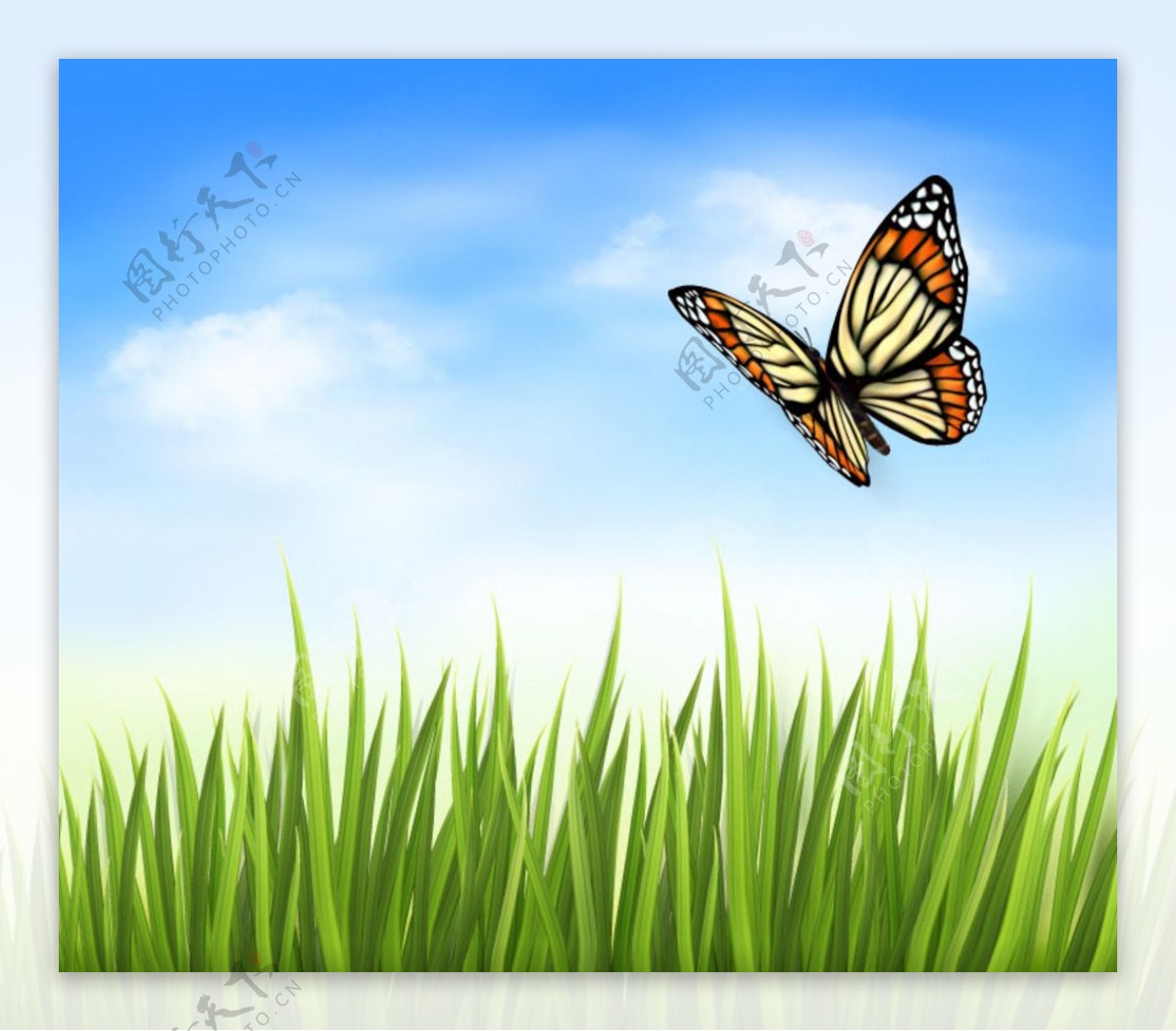 蝴蝶与草丛背景矢量素材