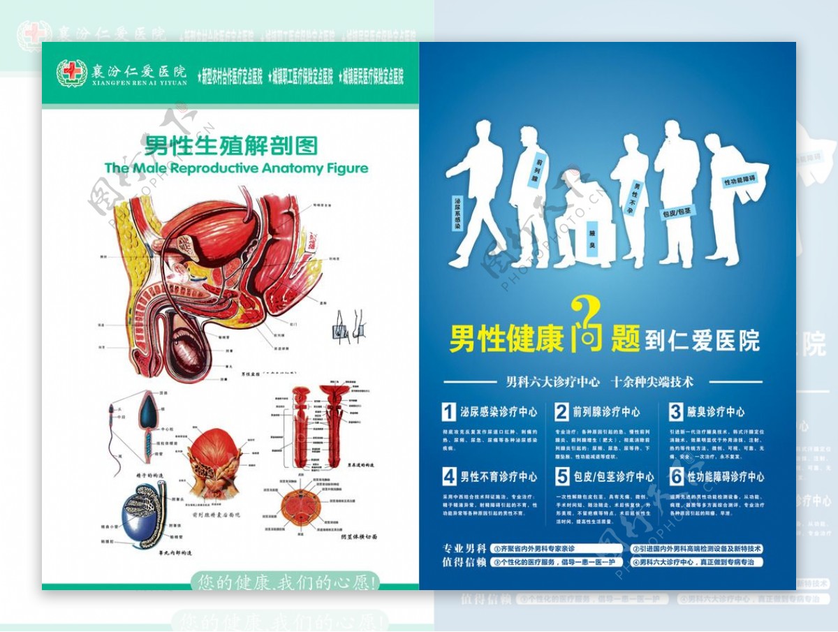 男科展板