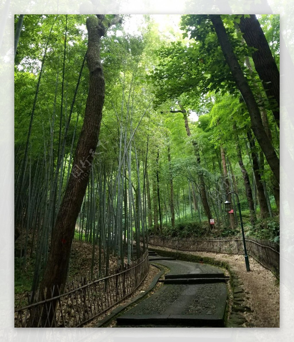 杭州宝石山登山路