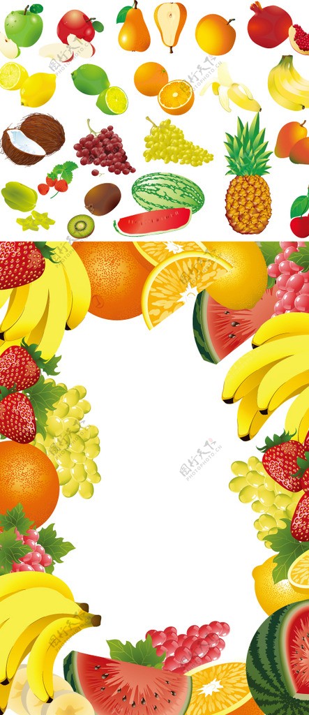 水果及水果边框矢量素材
