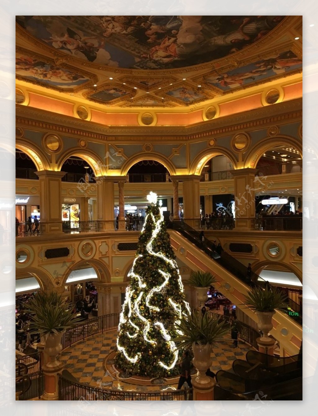 赌场里面的圣诞树