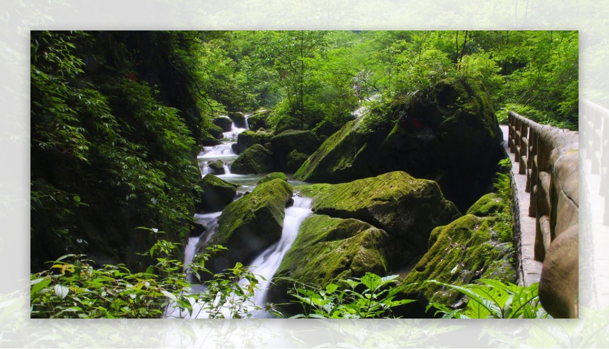 三峡人家杨家溪