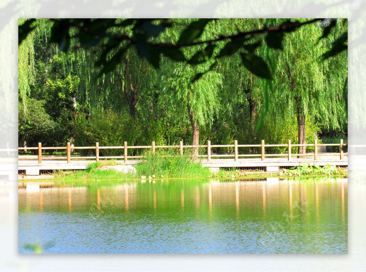湖水绿树
