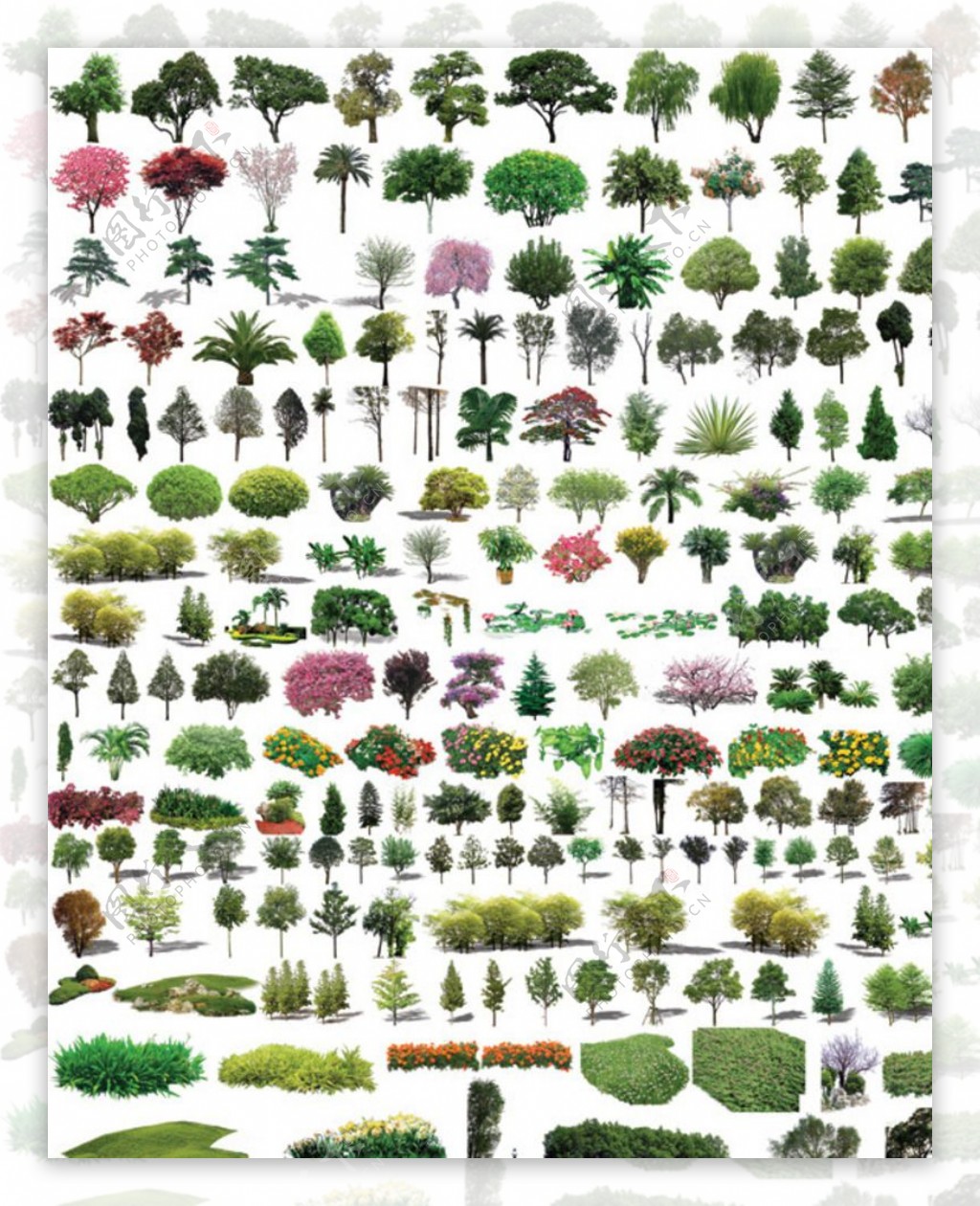 园林树木透明园林树抠图