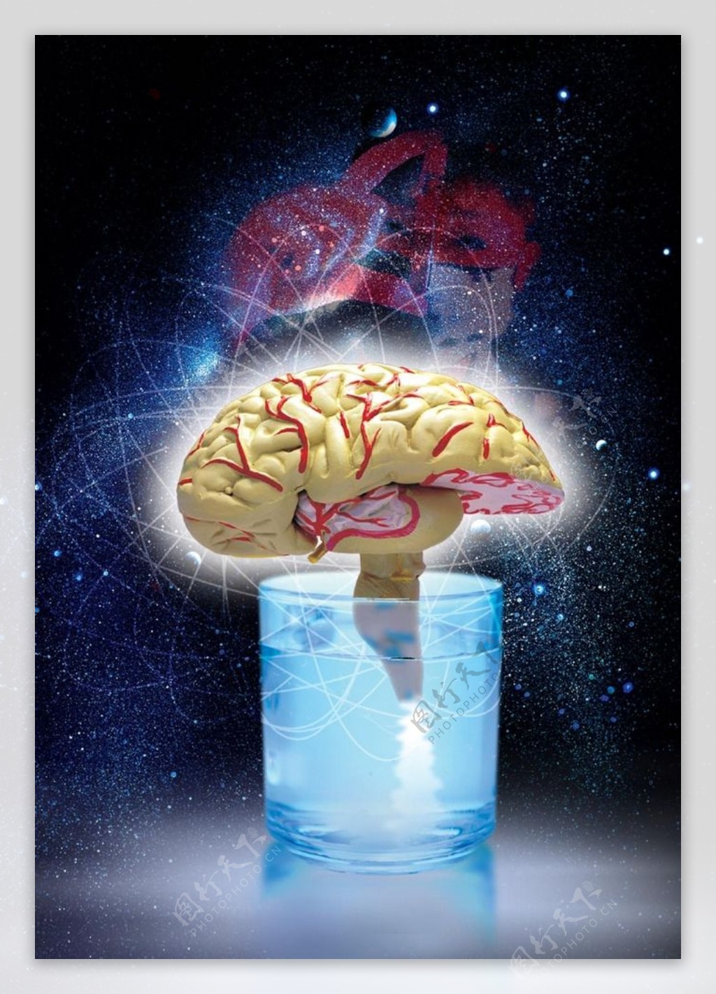 大脑培养生命技术科学研究