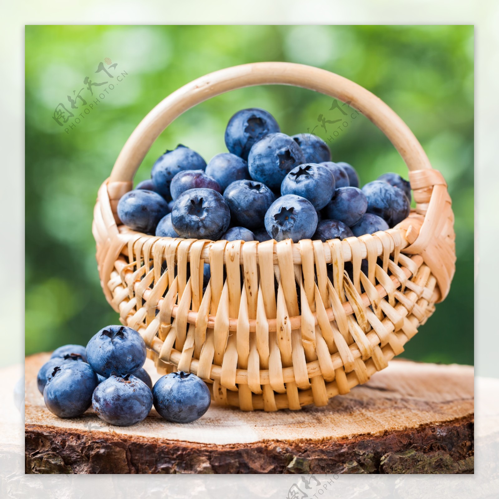 水果篮蓝莓