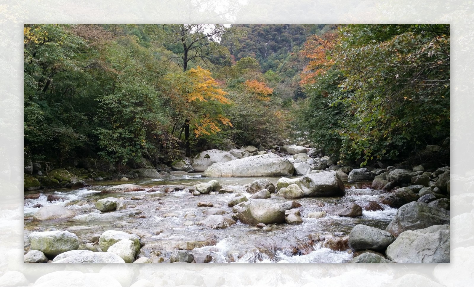 秦岭风光