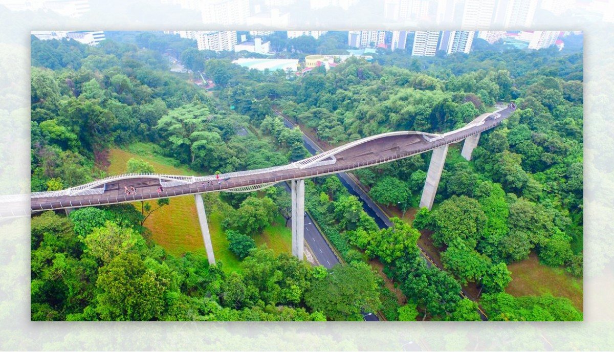 新加坡空中观景栈道