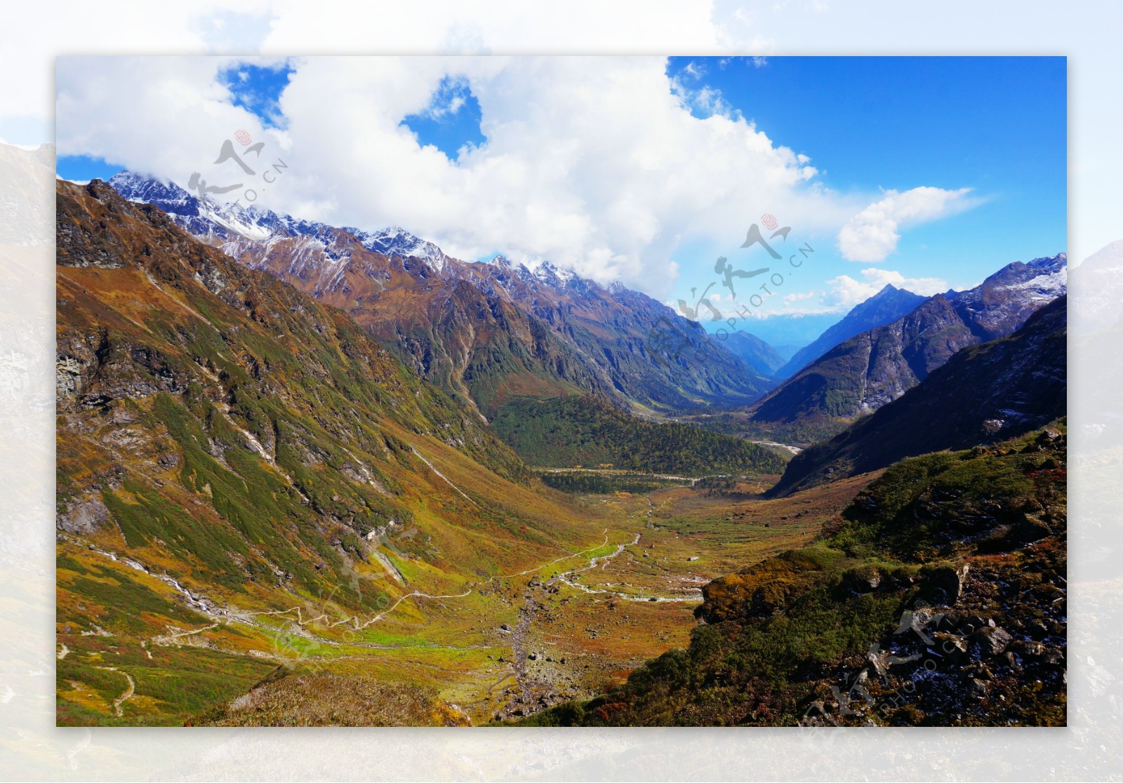 多雄拉山原始森林