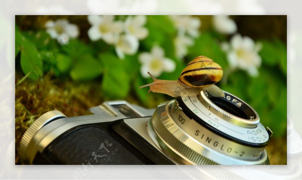 相机上的蜗牛