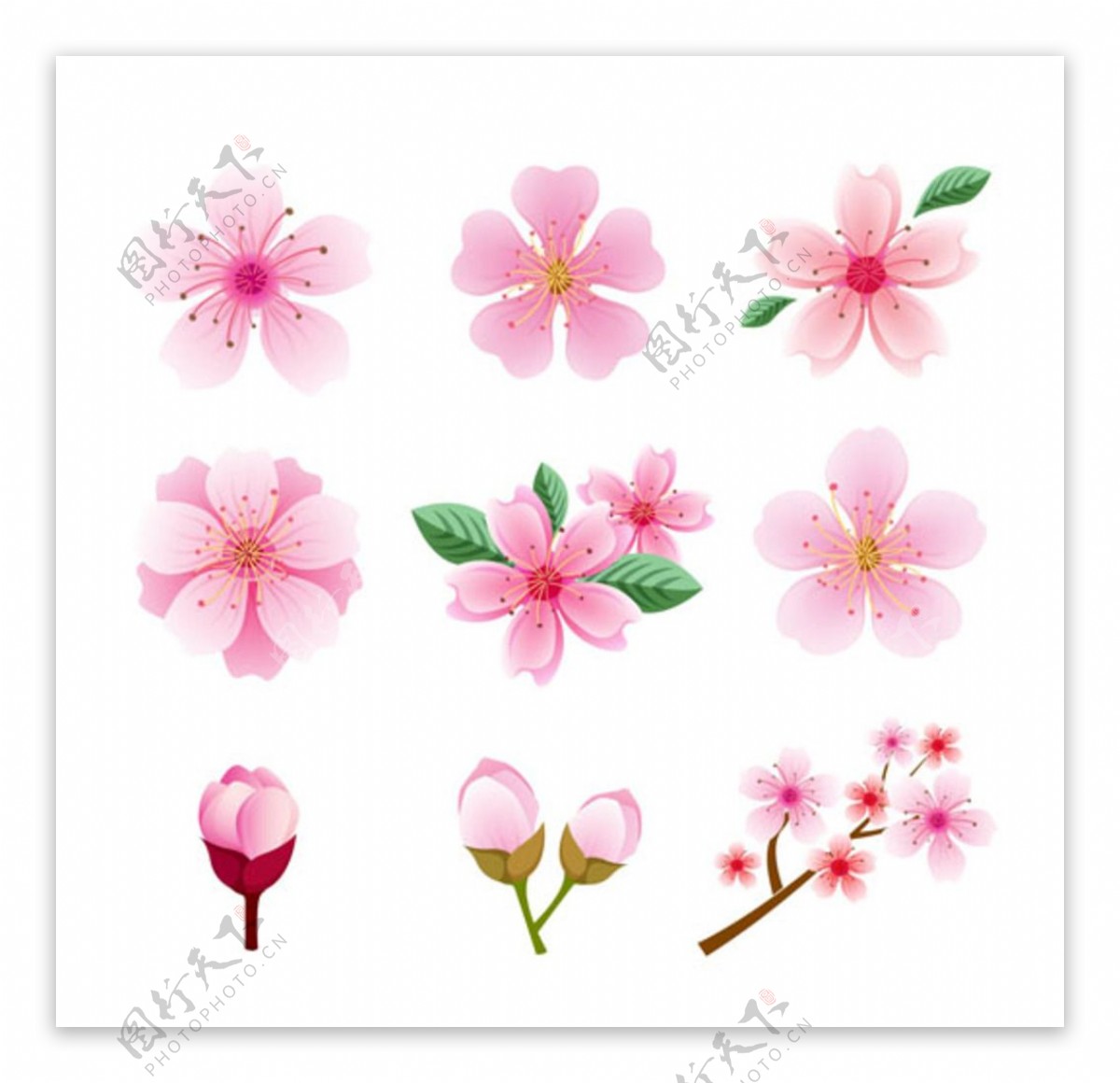 卡通春季花卉花朵元素