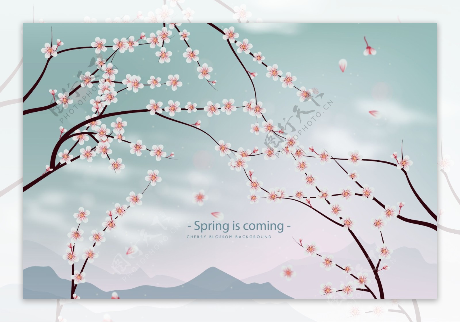 春季樱花海报背景