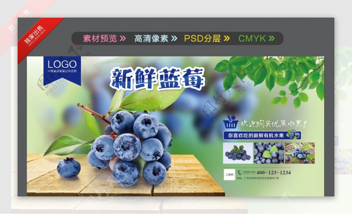 蓝莓海报水果海报