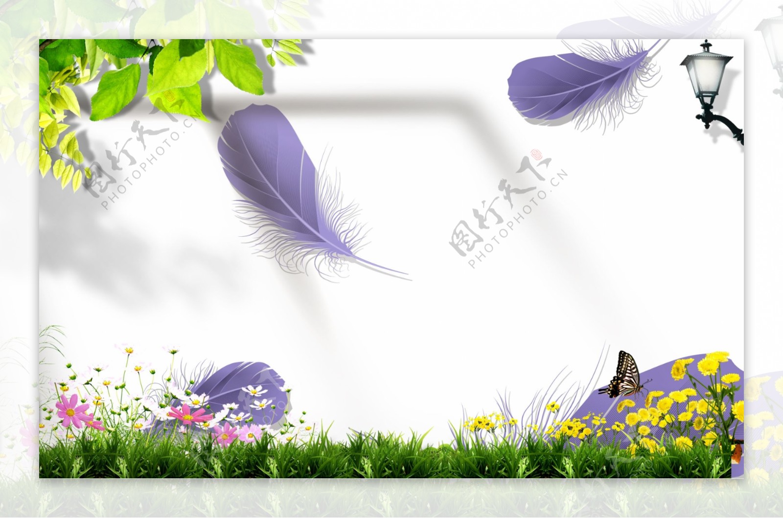 紫色羽毛草地背景墙