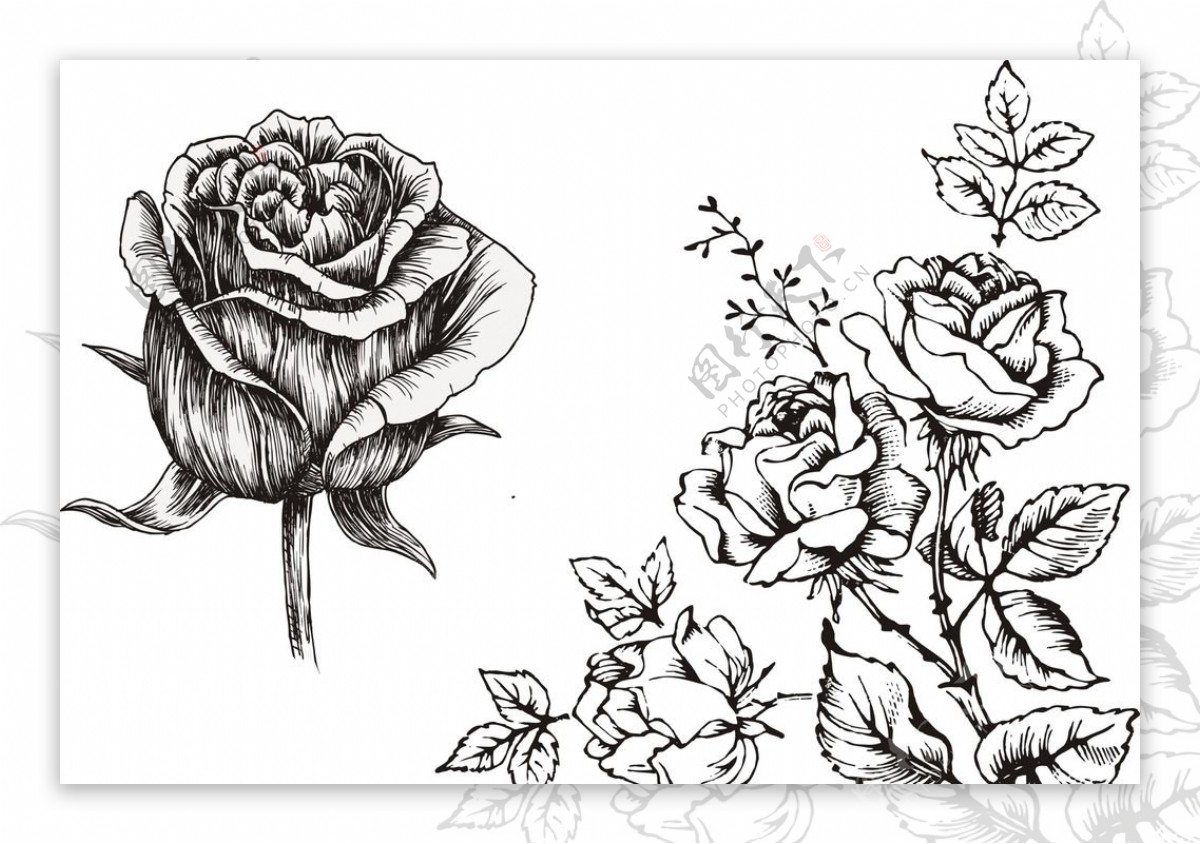 一步一步教你画一朵漂亮的玫瑰花素描画！ - 知乎