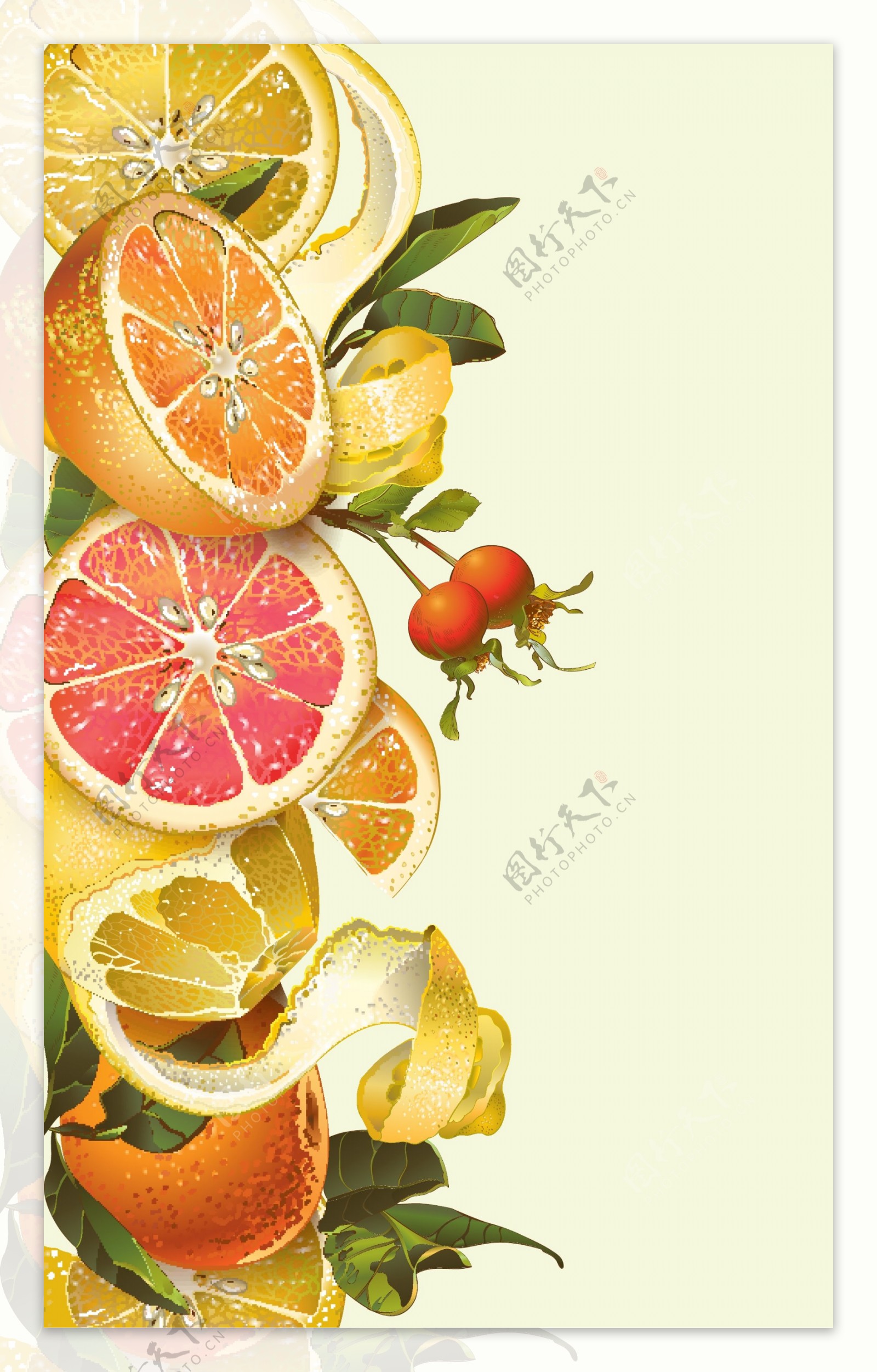 手绘水果橙子柠檬蜂蜜矢量背景素材