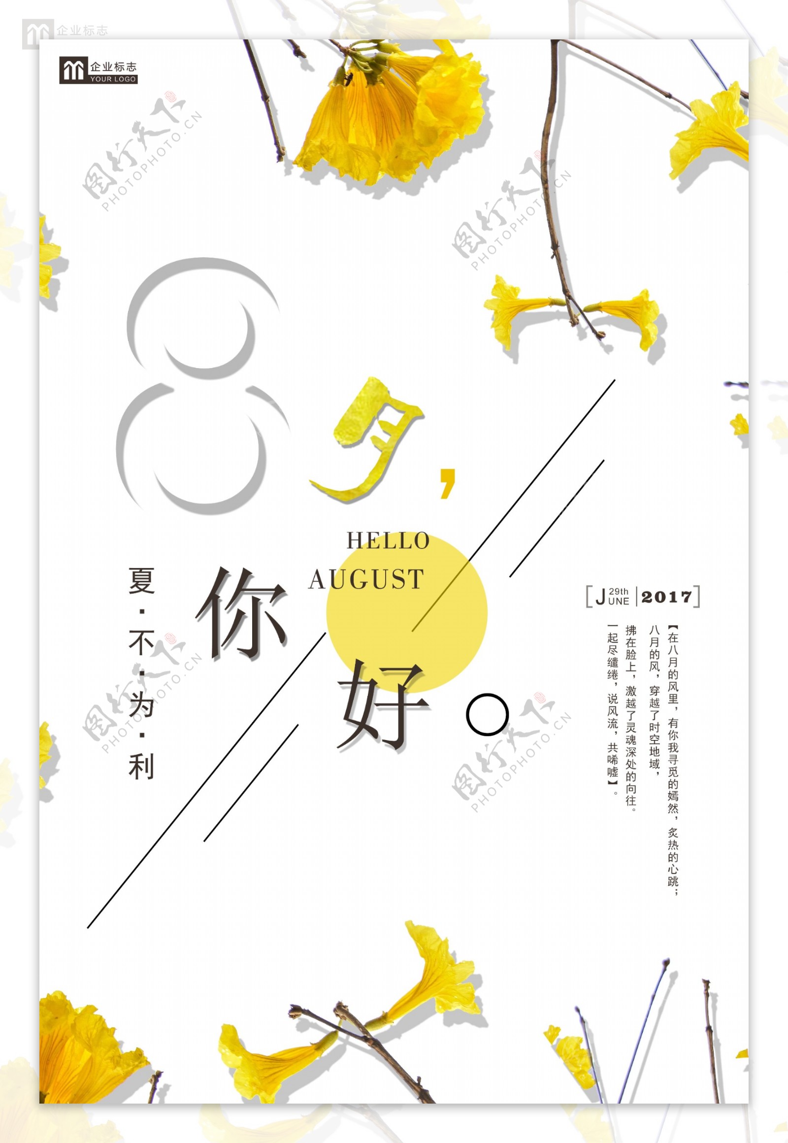 黄色花朵八月海报
