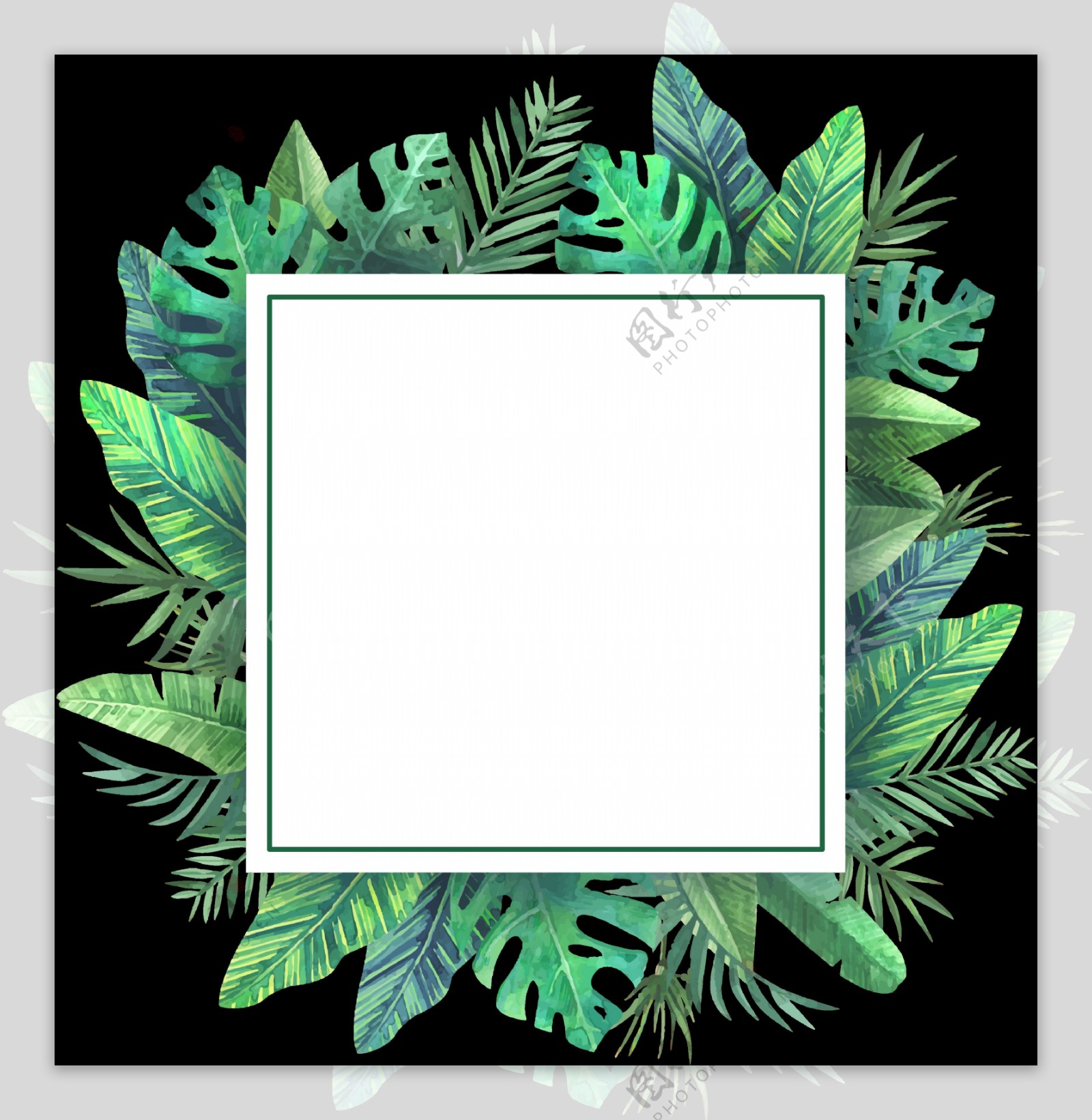 绿叶插画边框免抠png透明图层素材
