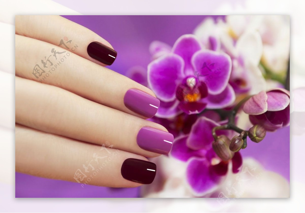 紫色指甲设计图片