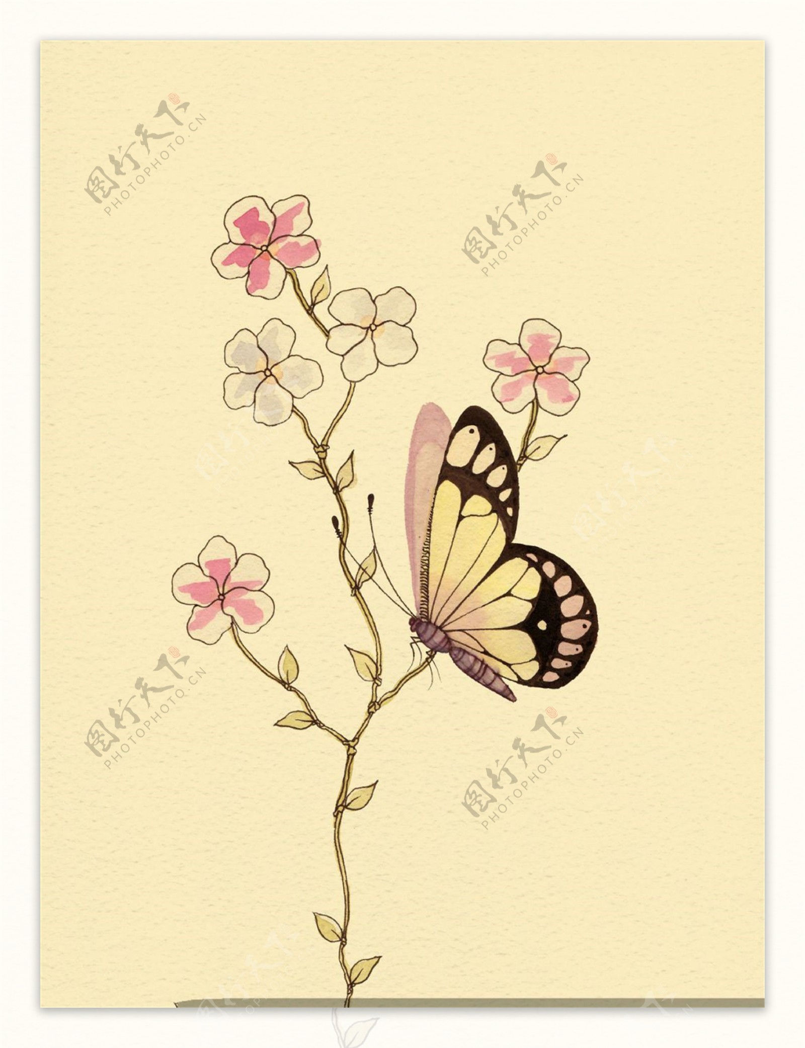 花朵蝴蝶插画图
