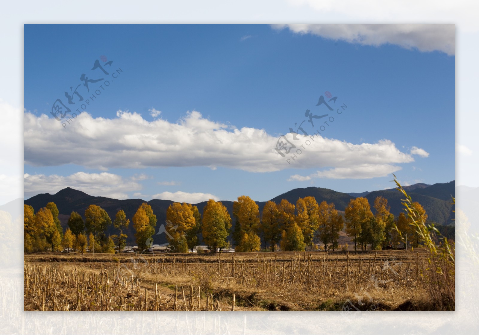 秋天田园风景图片