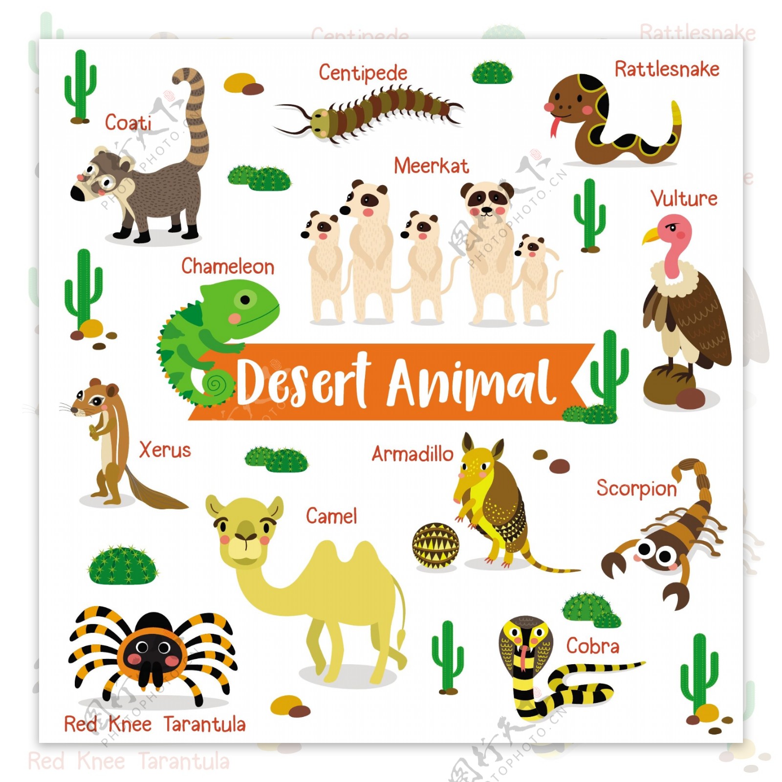 沙漠动物卡通卡通形象矢量素材