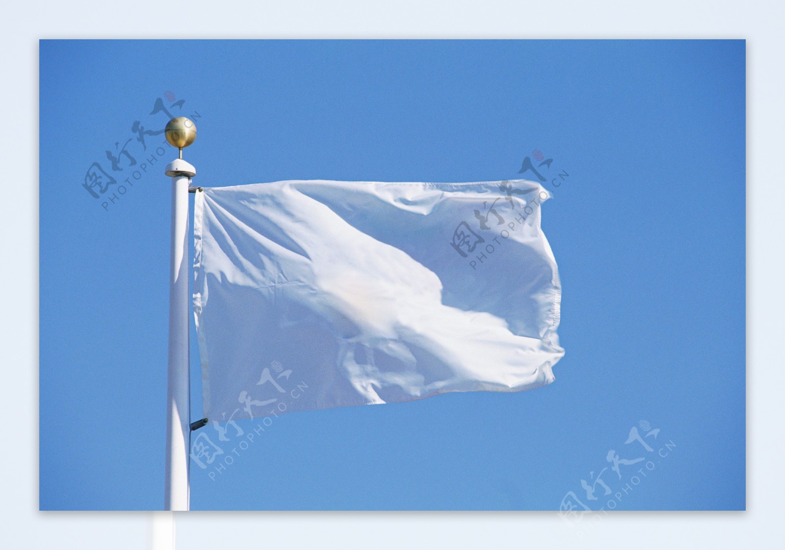 空白旗帜图片