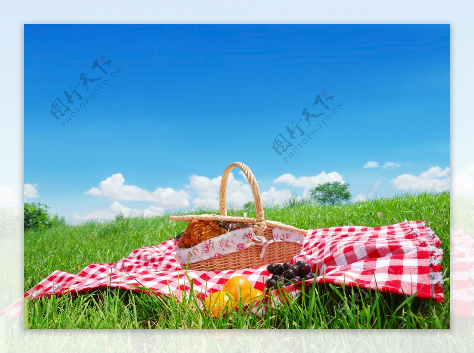 草地上的野餐篮子图片