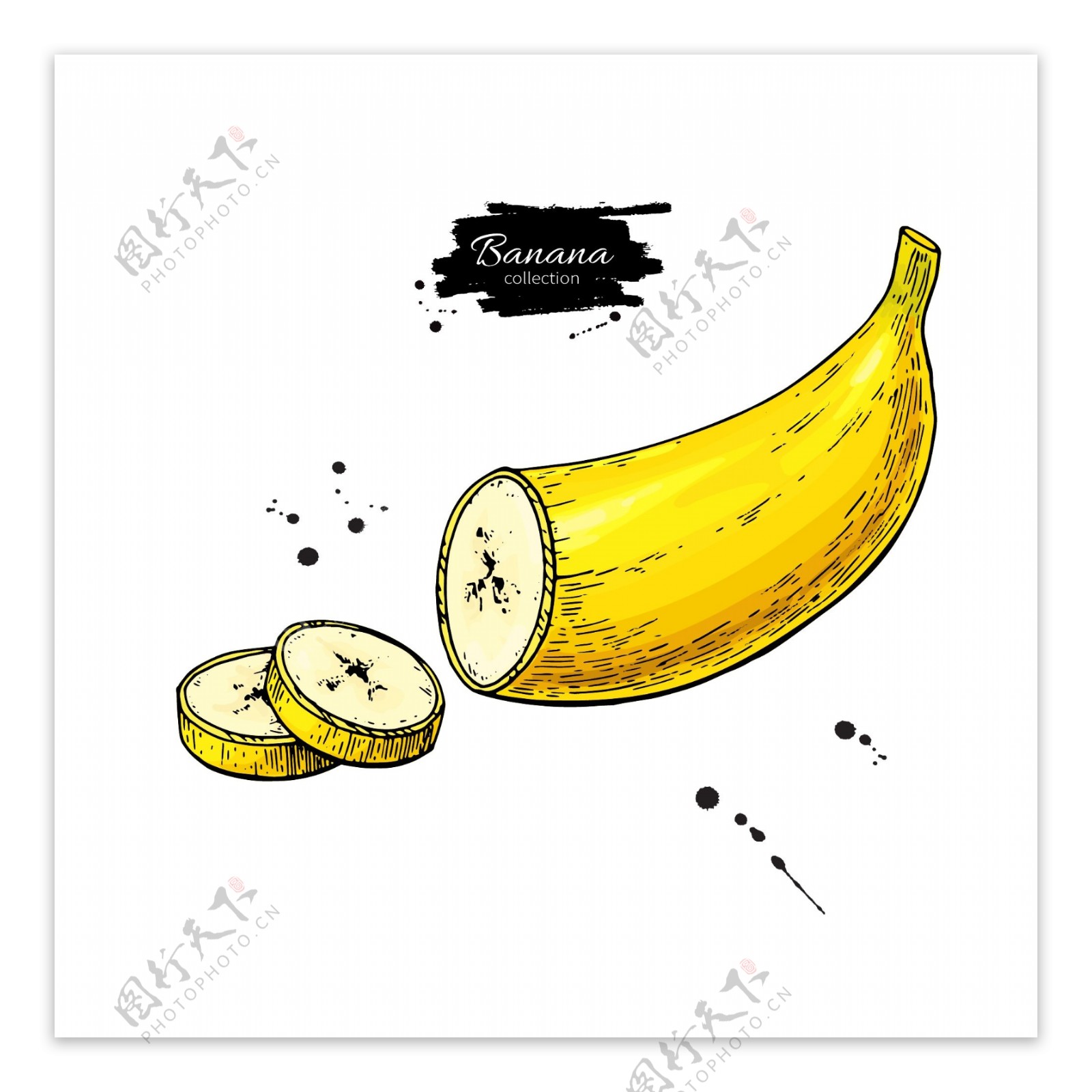 切片的黄色香蕉矢量