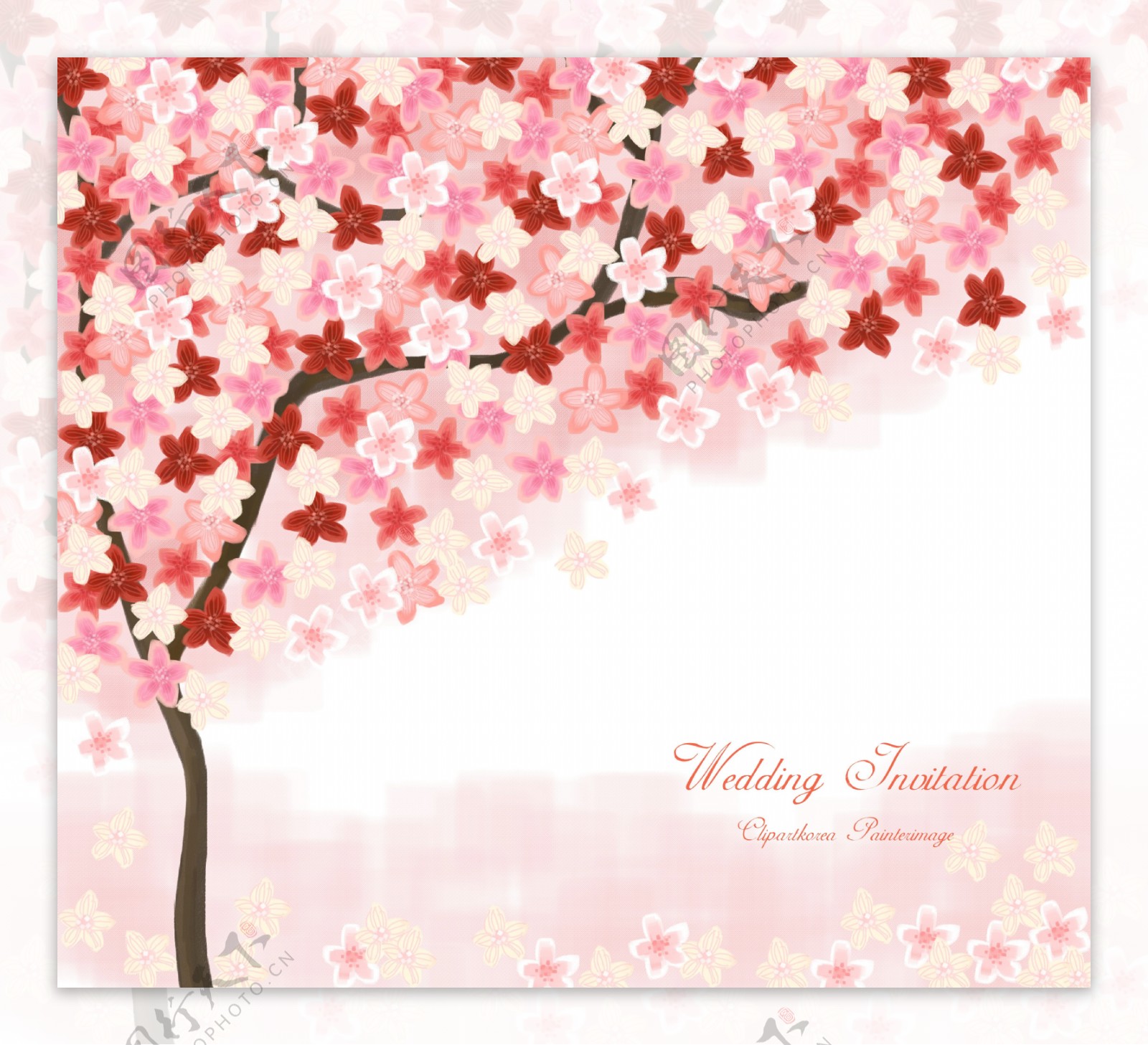 韩国花朵花卉壁纸图片素材-编号23236883-图行天下