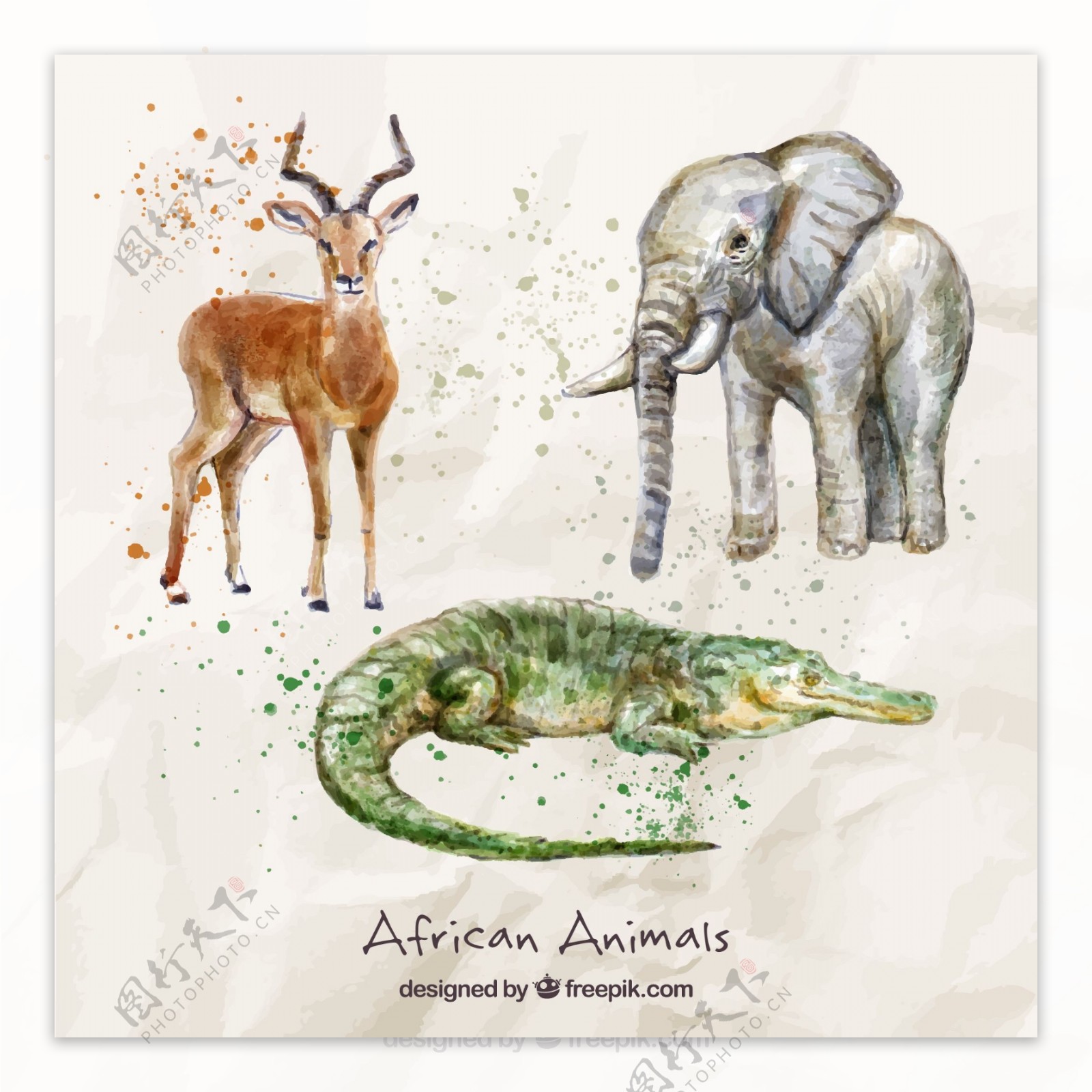 3种水彩绘非洲动物矢量素材