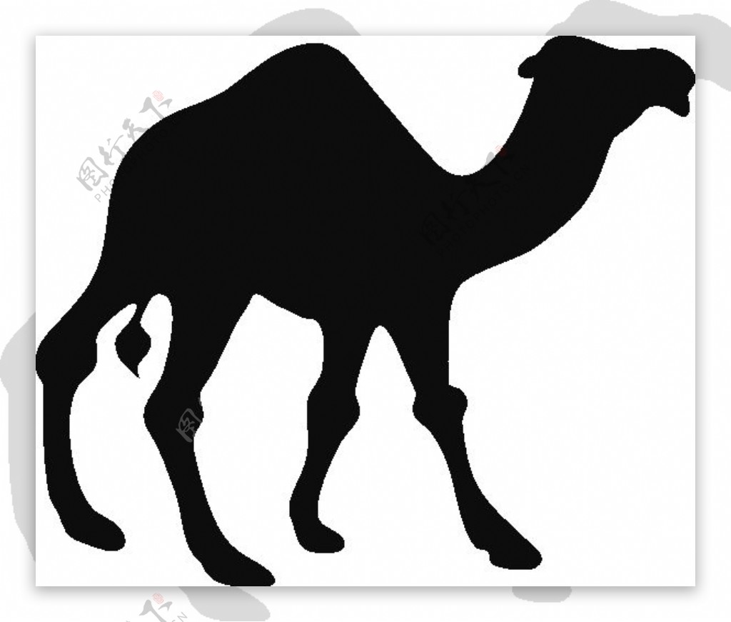 黑色骆驼剪影免抠png透明图层素材