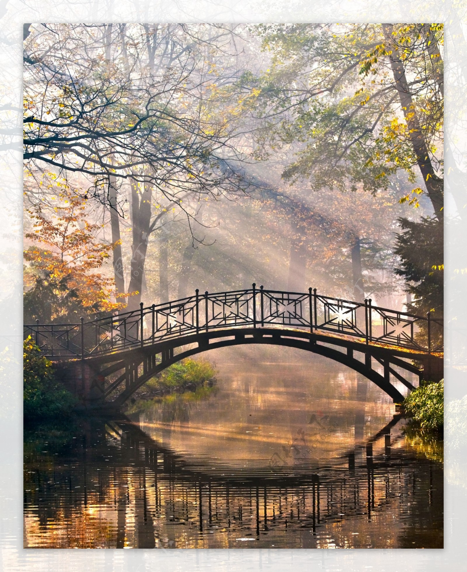 木桥小溪景色图片