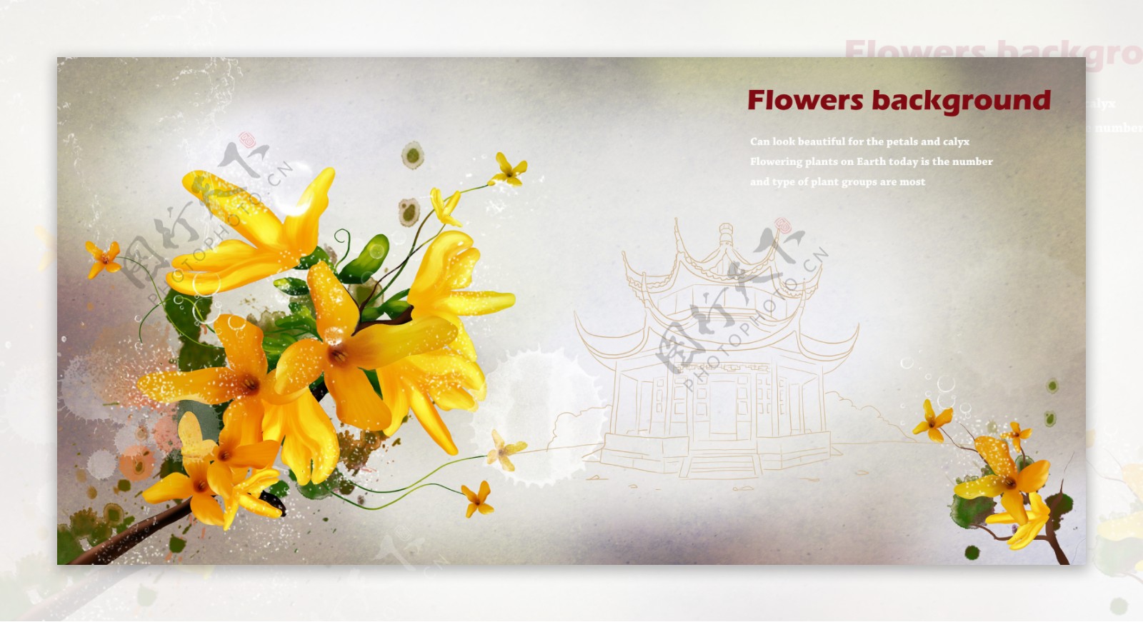 黄色系手绘花朵明信片