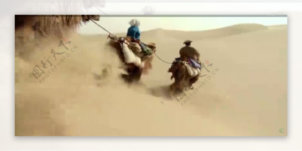 沙漠中的骆驼队行走背影高清实拍视频素材