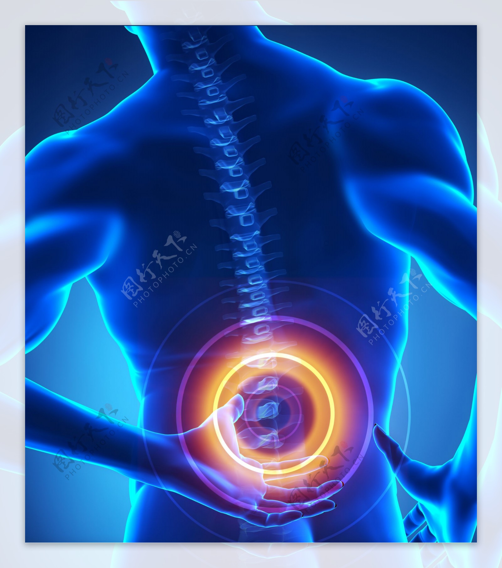 人体脊髓骨骼疼痛图片