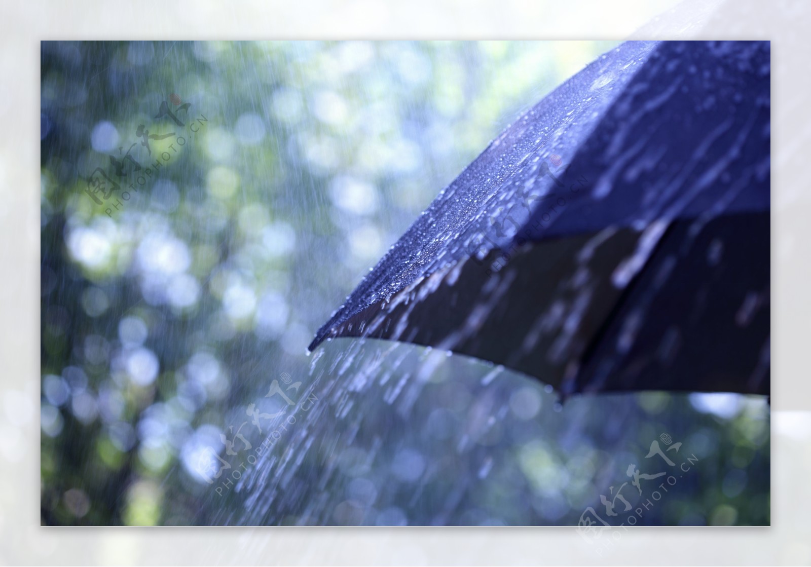 雨中撑起的伞图片