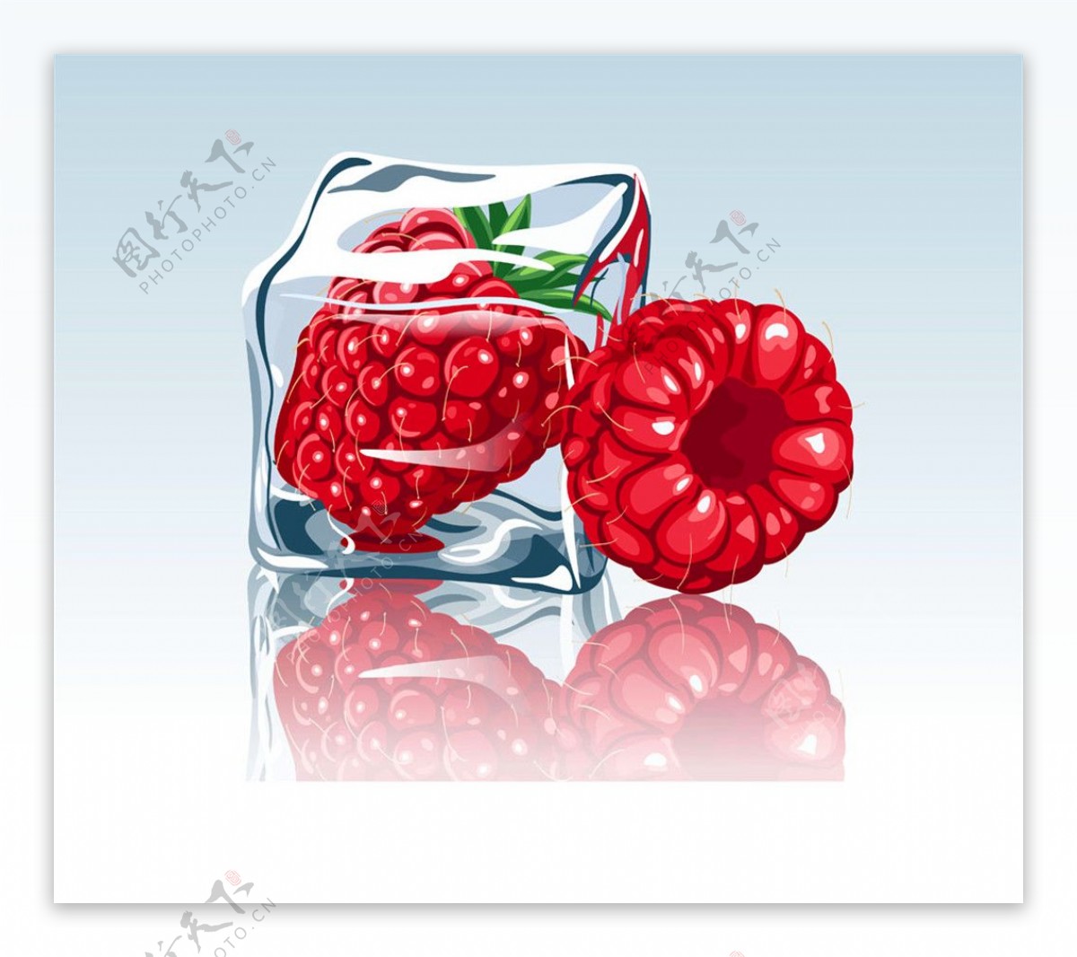 冰冻的山莓图片