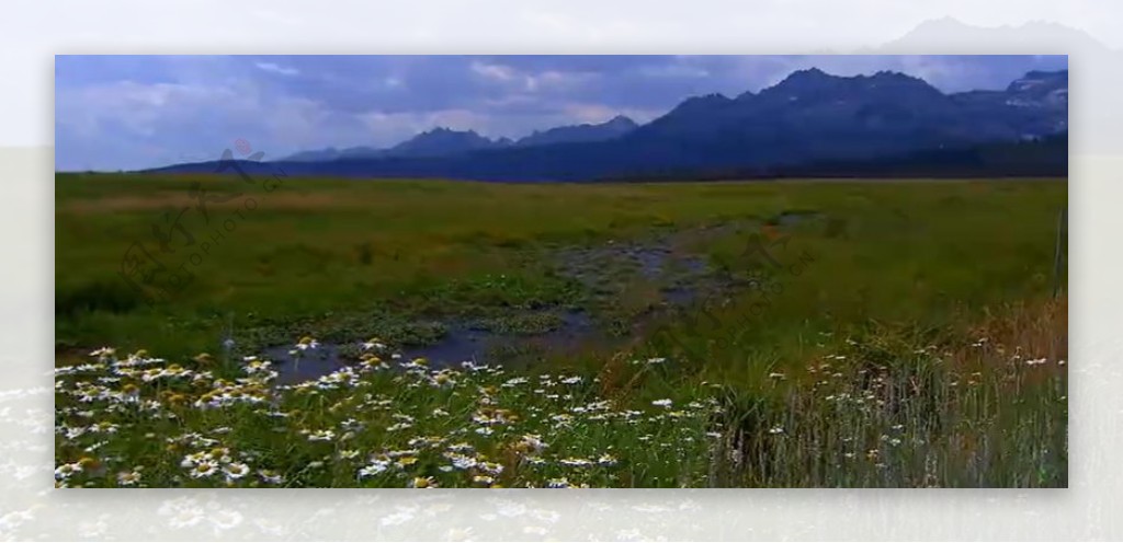 大草原和山峰特写高清实拍视频素材