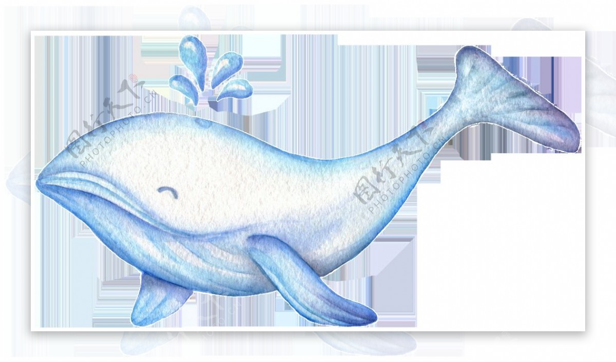 卡通荧光蓝鲸鱼图片素材