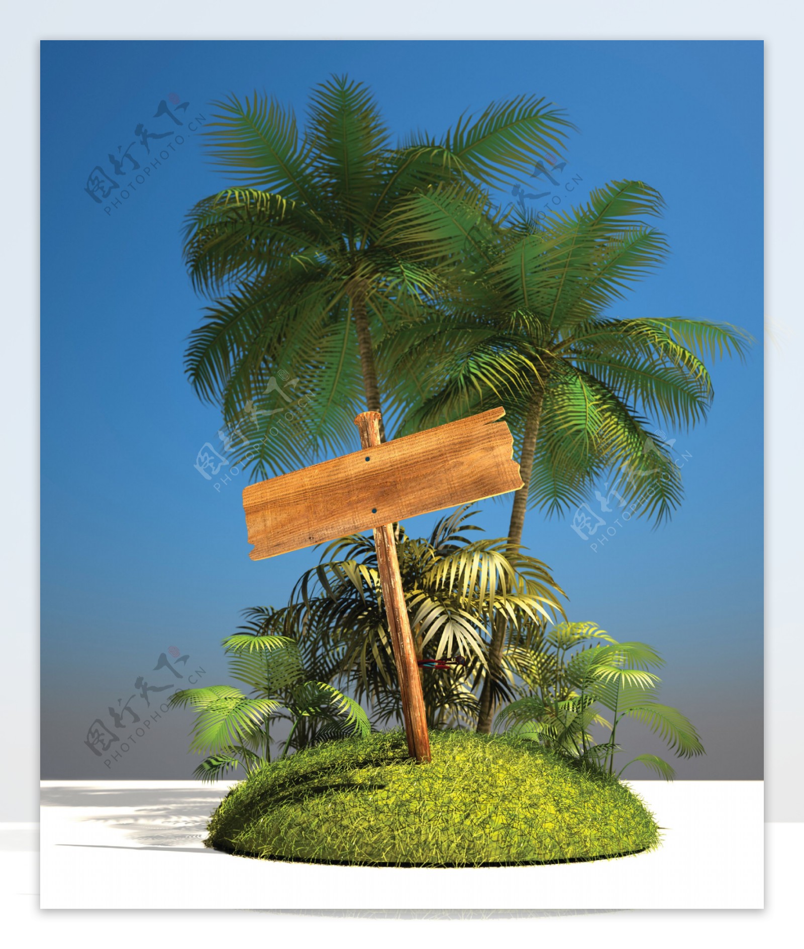 椰树与广告牌图片