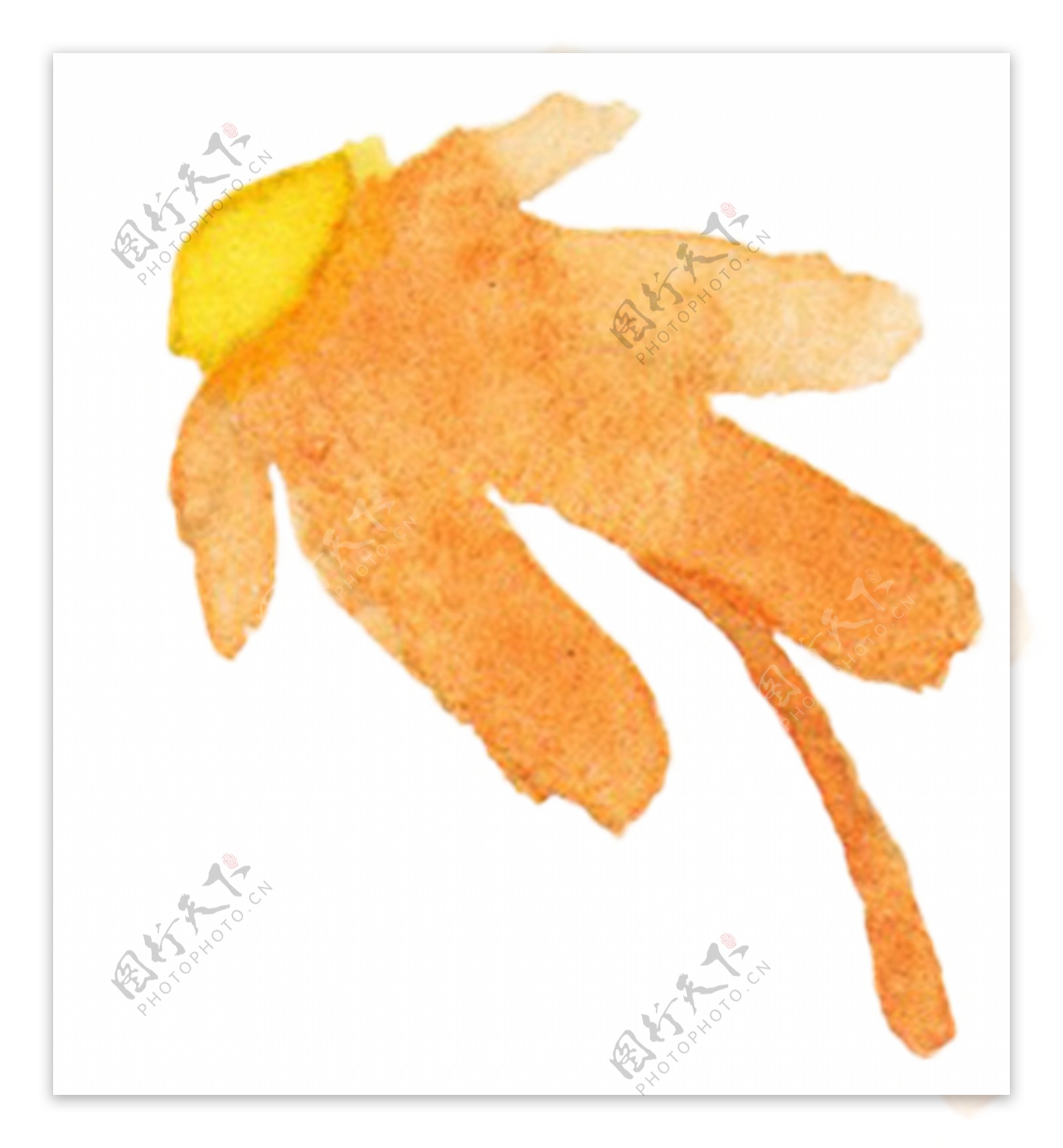 橘墨水印花朵图片素材