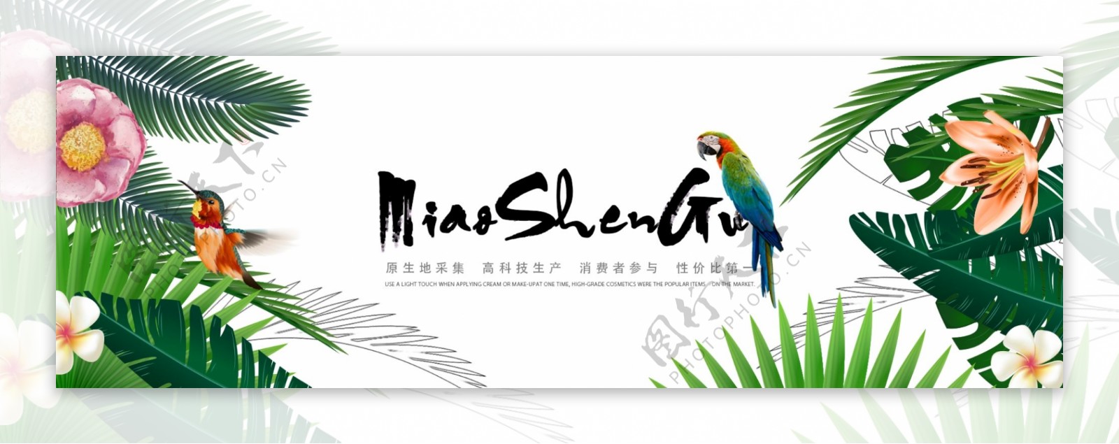 热带园林鸟花朵公司书法标题banner