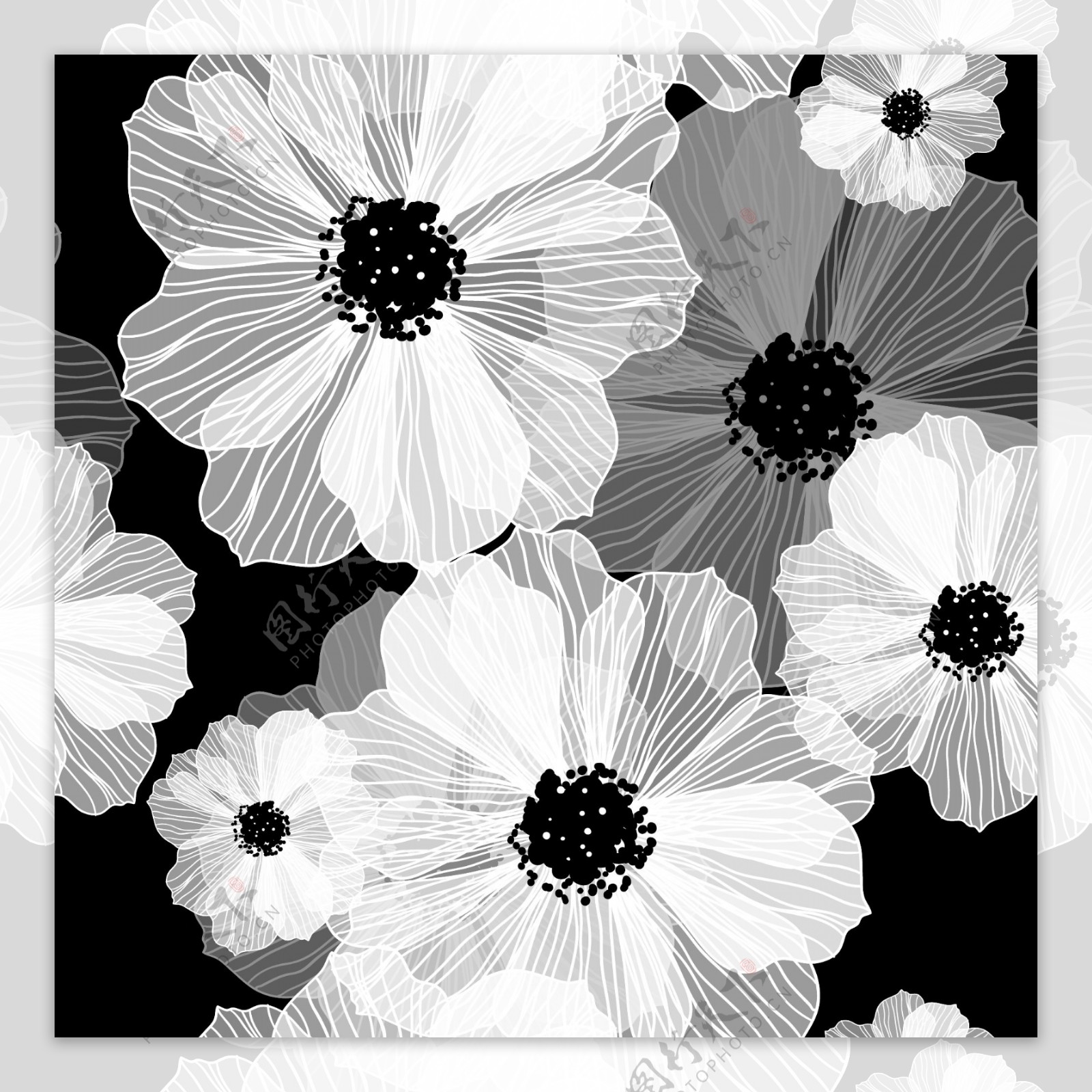 黑白花朵底纹