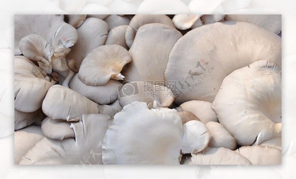 一堆新鲜的蘑菇