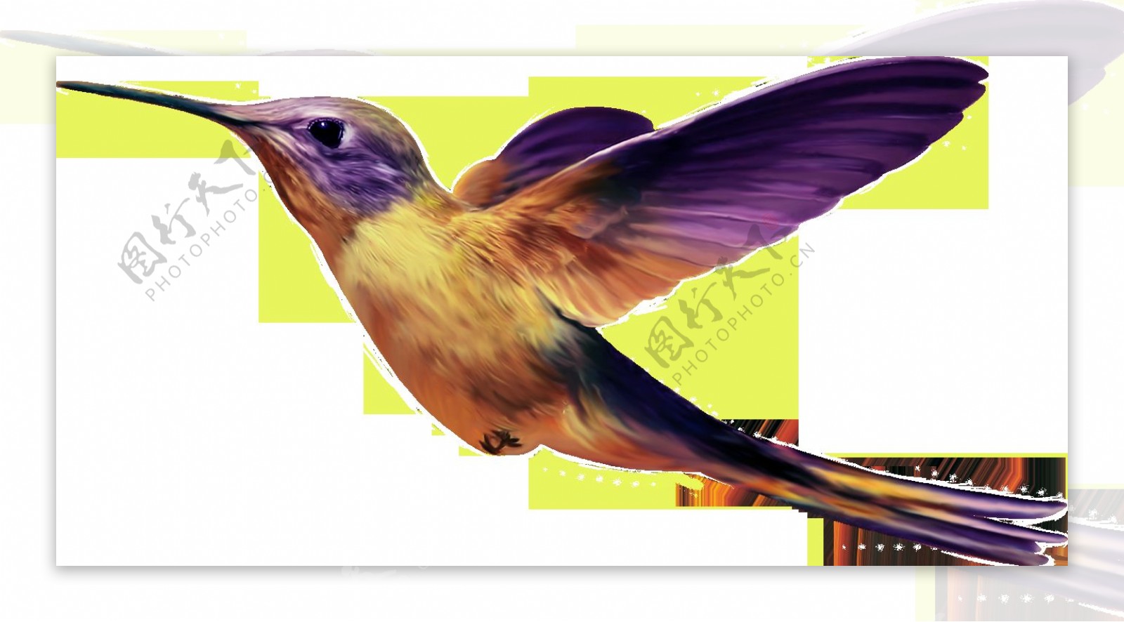 彩色飞翔小鸟图片免抠png透明图层素材