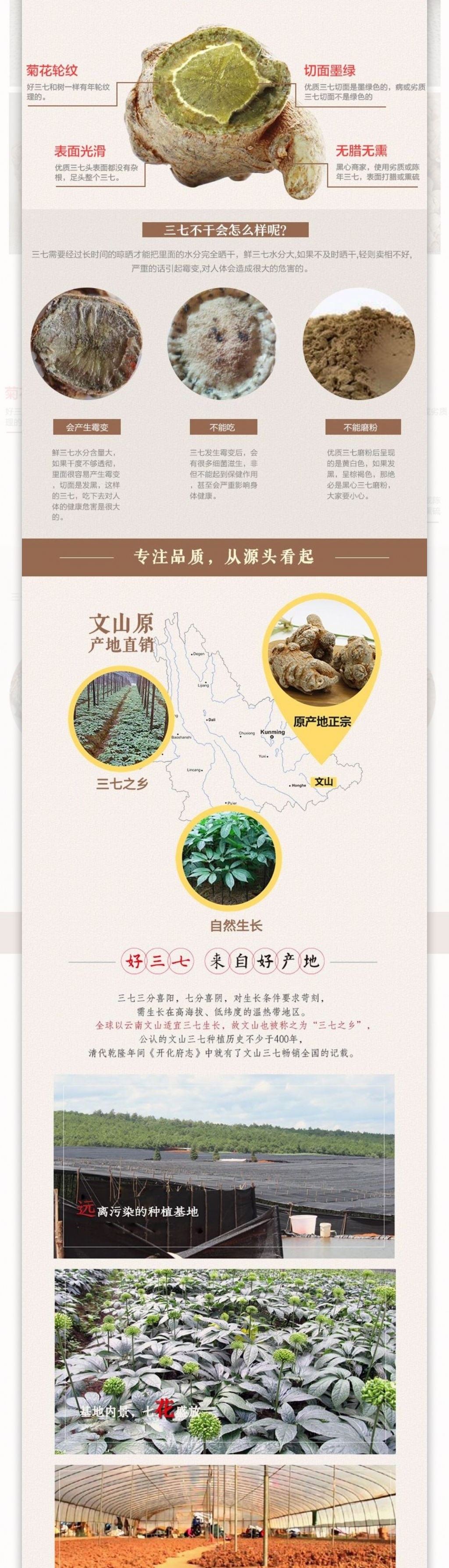 云南文山18头三七详情页设计