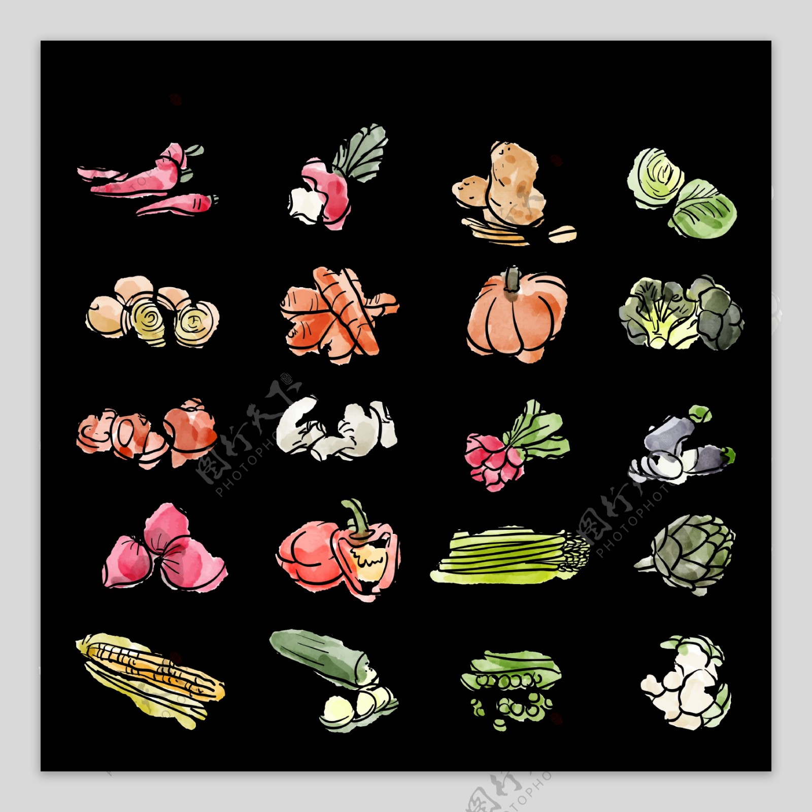 各种手绘蔬菜免抠png透明图层素材